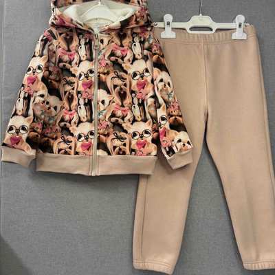 Комплект дитячий для дівчинки, р.98-110 см, тринитка підчос, рожевий з принтом