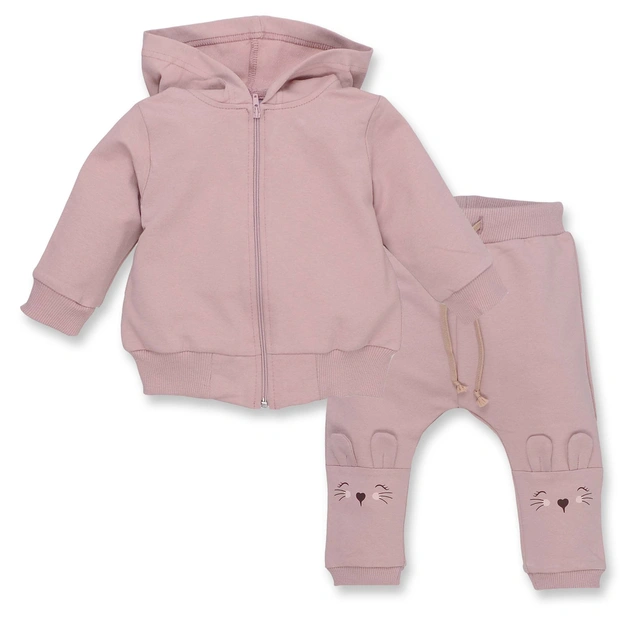 Комплект дитячий для дівчинки, р.74-92 см, петельний футер, рожевий фото Татошка