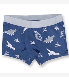 Дитячі труси-боксери для хлопчика, р. 98-122см, кулір з еластаном, блакитний фото на tatoshka.ua