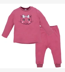 Костюм дитячий комлектом, р.80-98 см, петельний футер, рожевий з аплікацією фото на tatoshka.ua