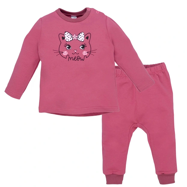 Костюм дитячий комлектом, р.80-98 см, петельний футер, рожевий з аплікацією фото Татошка