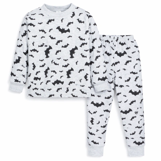 Комплект дитячий для хлопчика, р.80-116 см, футер з начісом, сірий меланж з принтом фото Татошка